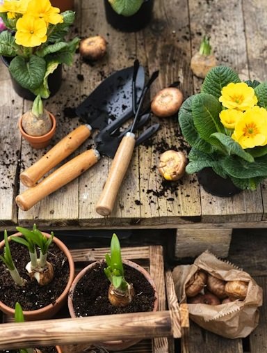Gardening tools